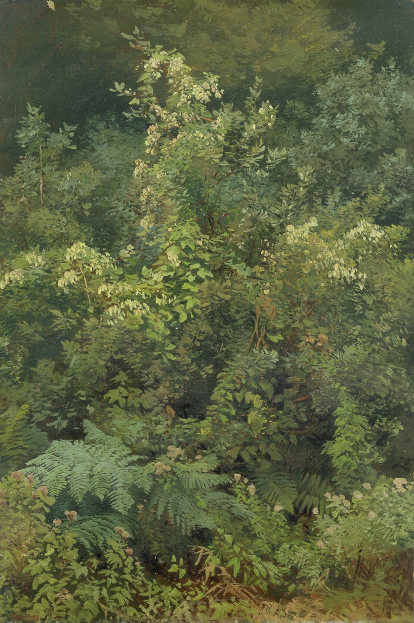 Hopfen und Farne im Wald, 1870 von Valentin Ruths