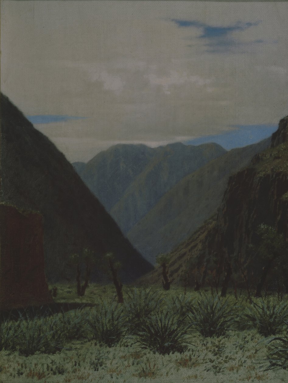 Der Barskaun-Pass von Vasili Vasilievich Vereshchagin