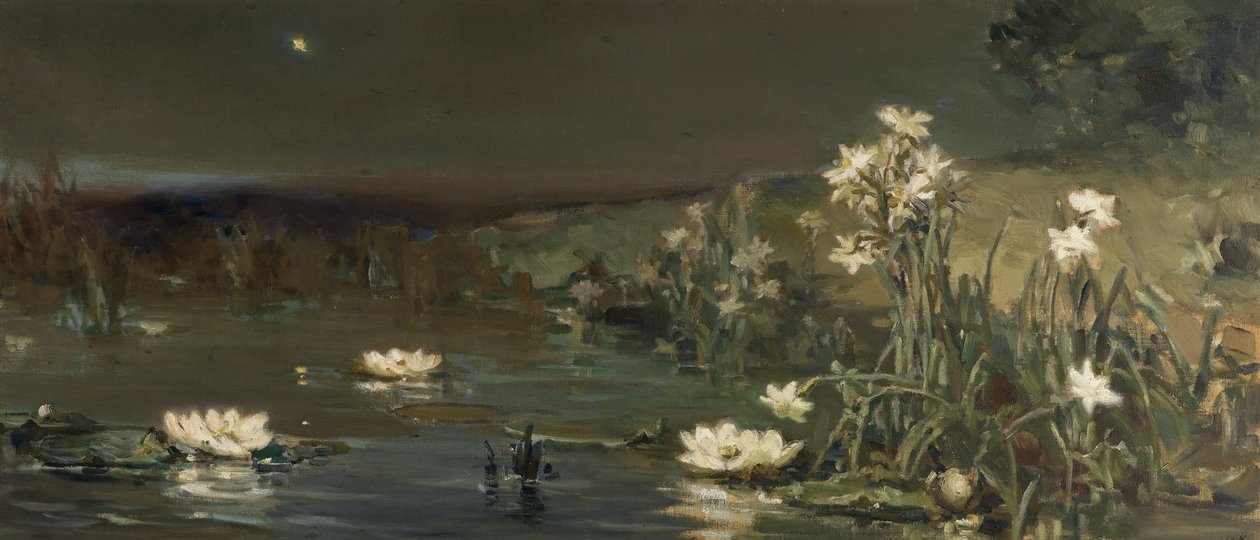 Stern in der Nacht von Vasilii Kotarbinsky