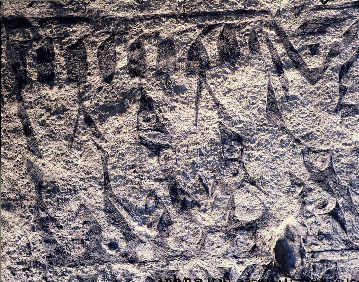Detail einer rituellen Prozession, von der Insel Gotland von Viking