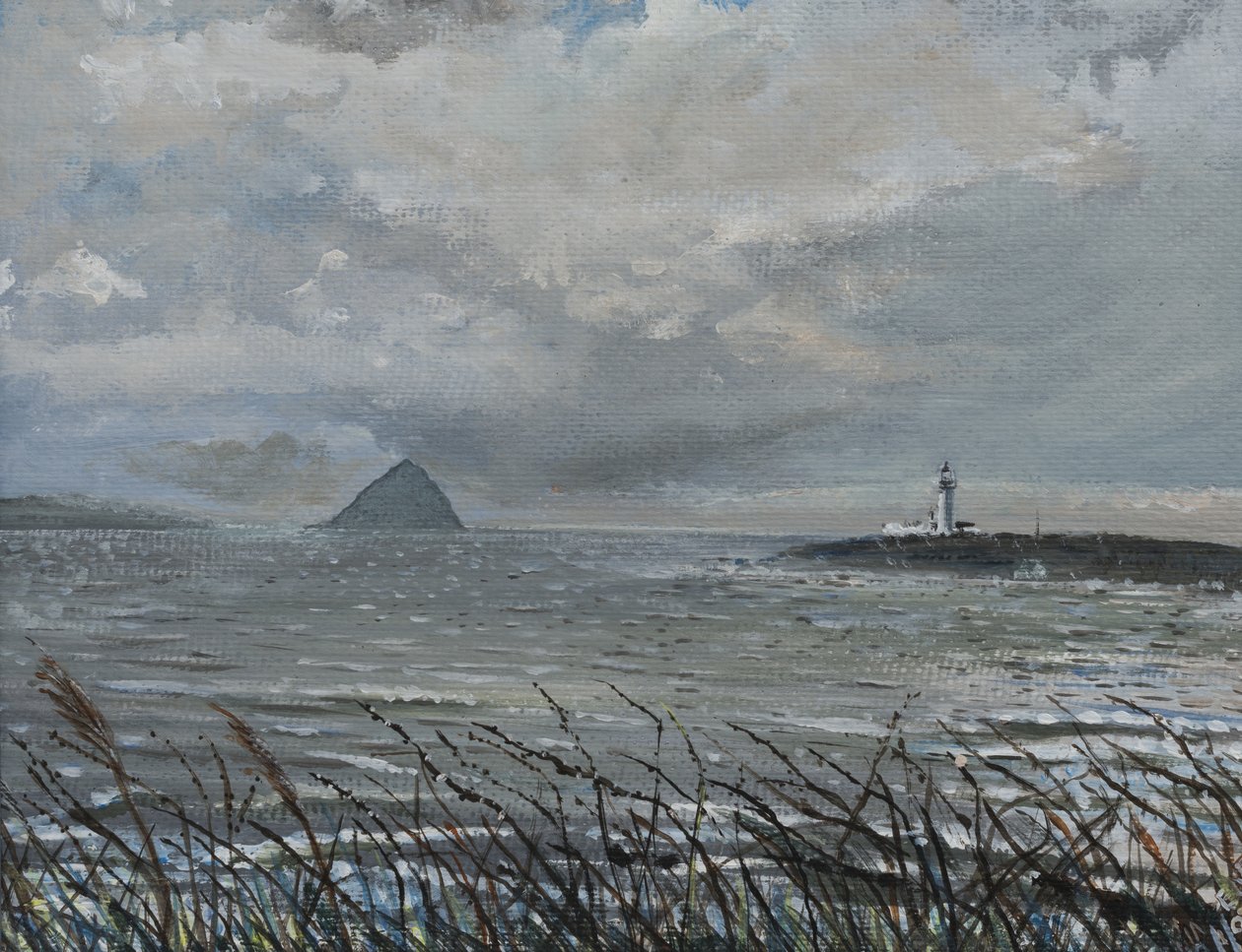 Ailsa Craig von Arran, 2007 von Vincent Alexander Booth