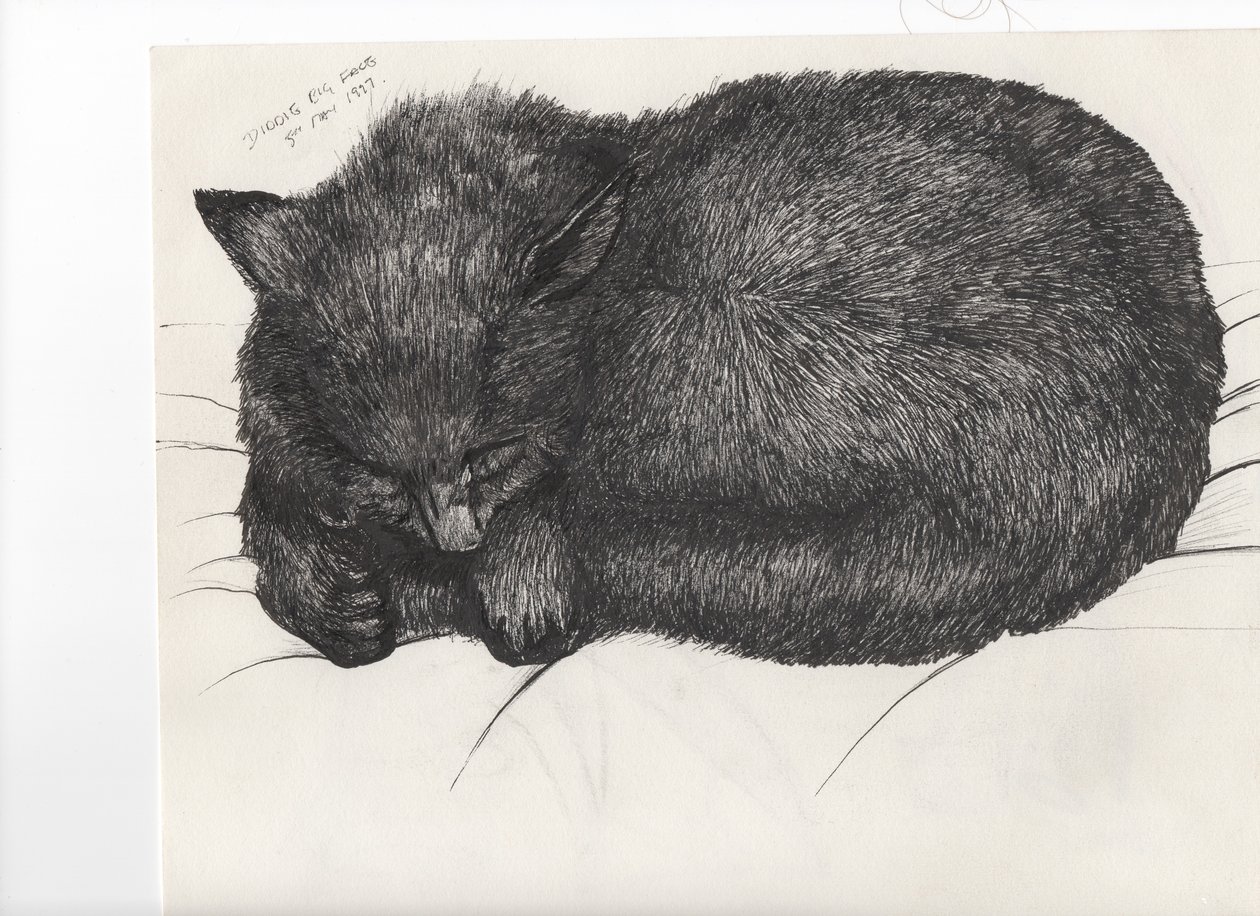 Diddy großes Gesicht, 1997 von Vincent Alexander Booth