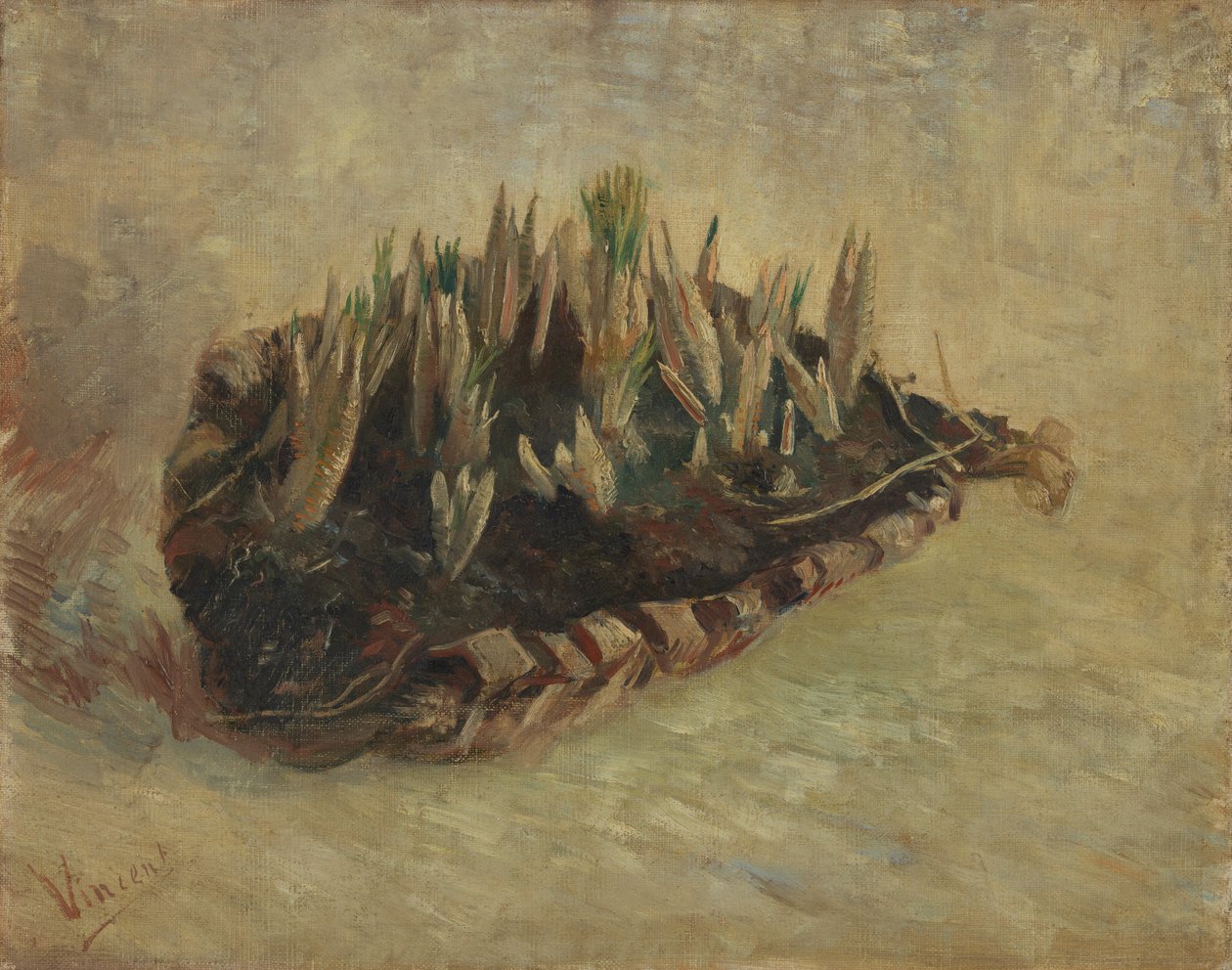 Korb mit Krokuszwiebeln von Vincent van Gogh