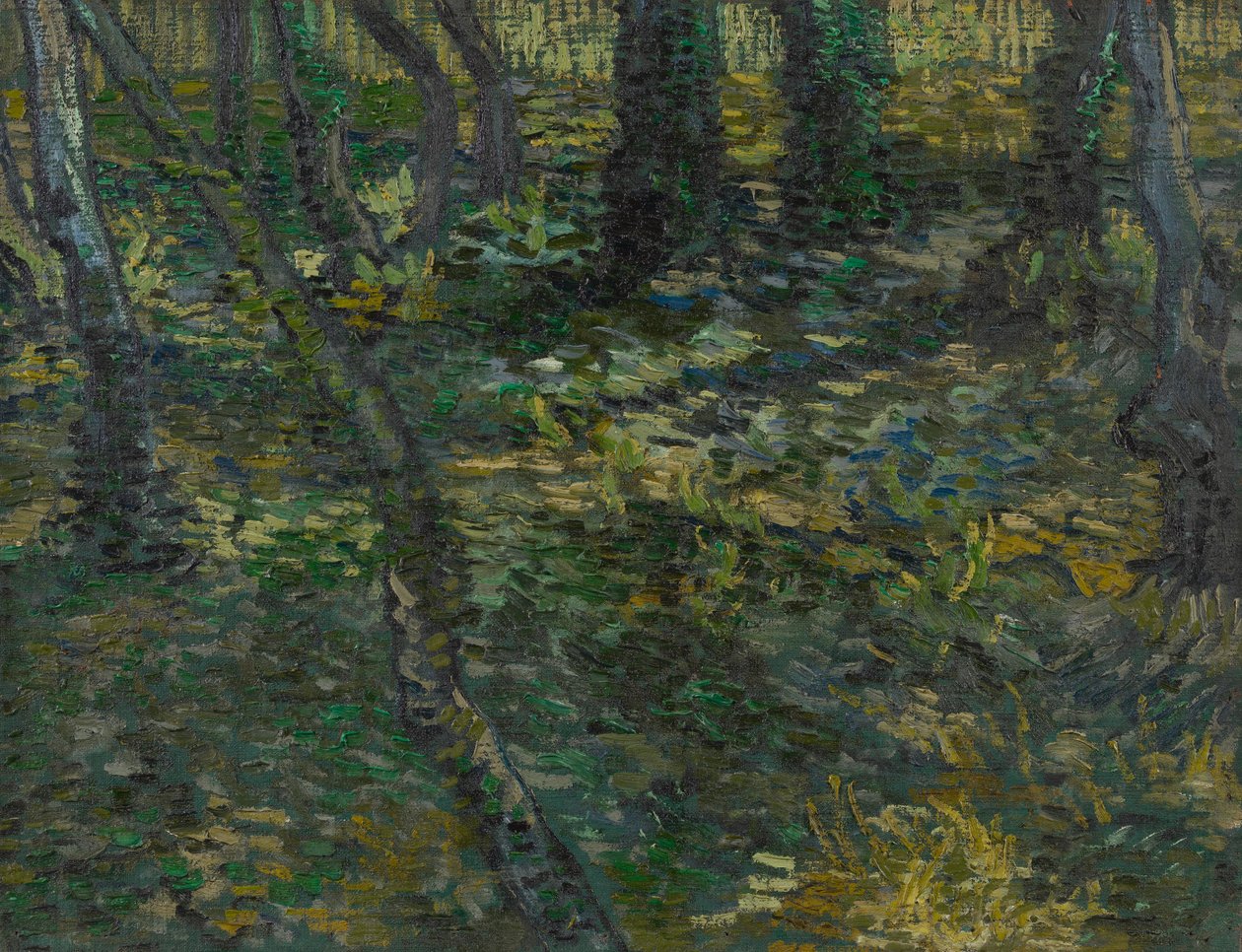 Unterholz von Vincent van Gogh