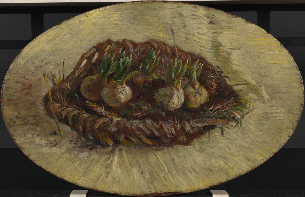 Korb mit Hyazinthenzwiebeln von Vincent van Gogh