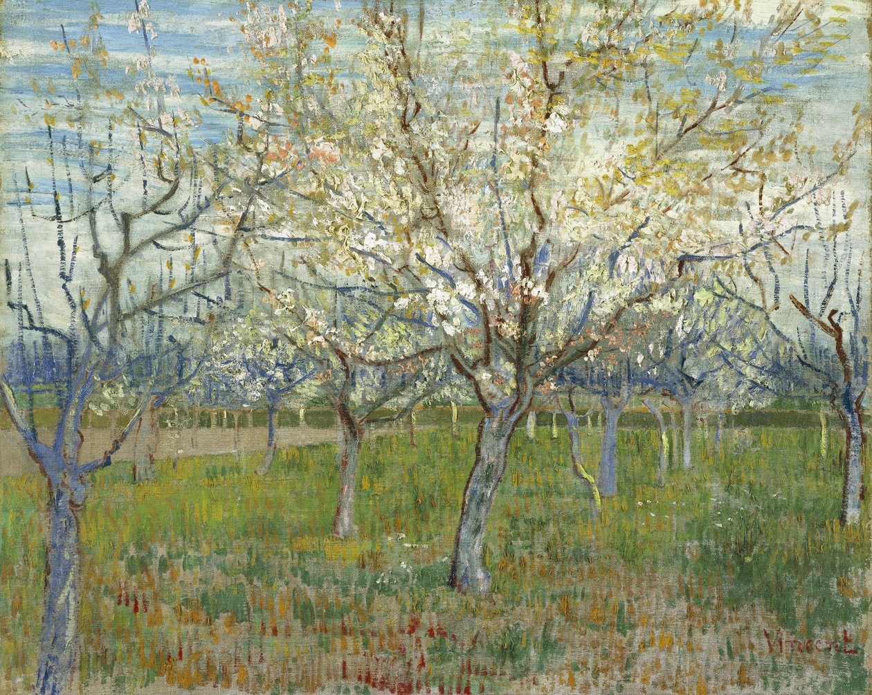 Der rosa Obstgarten von Vincent van Gogh