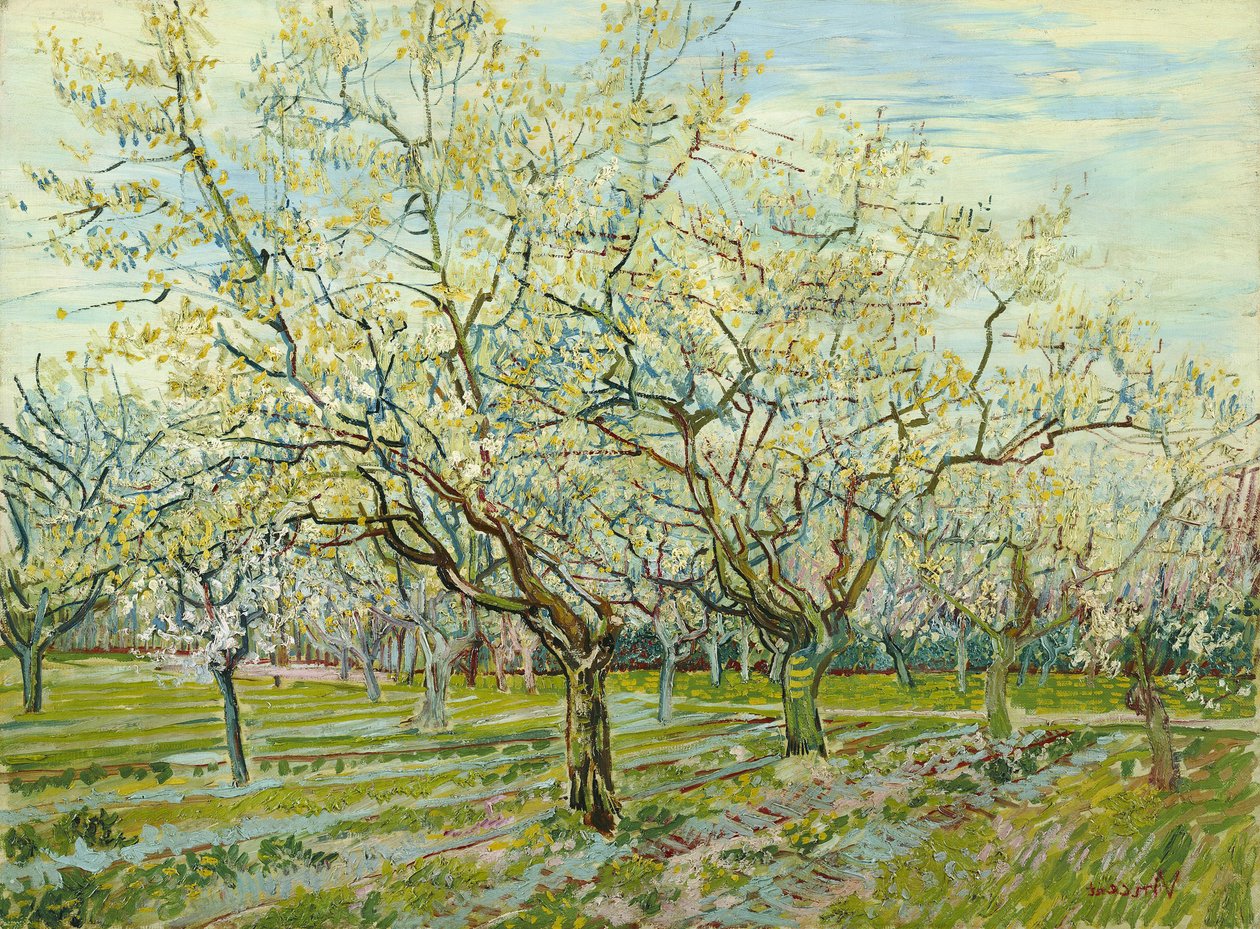 Der weiße Obstgarten von Vincent van Gogh