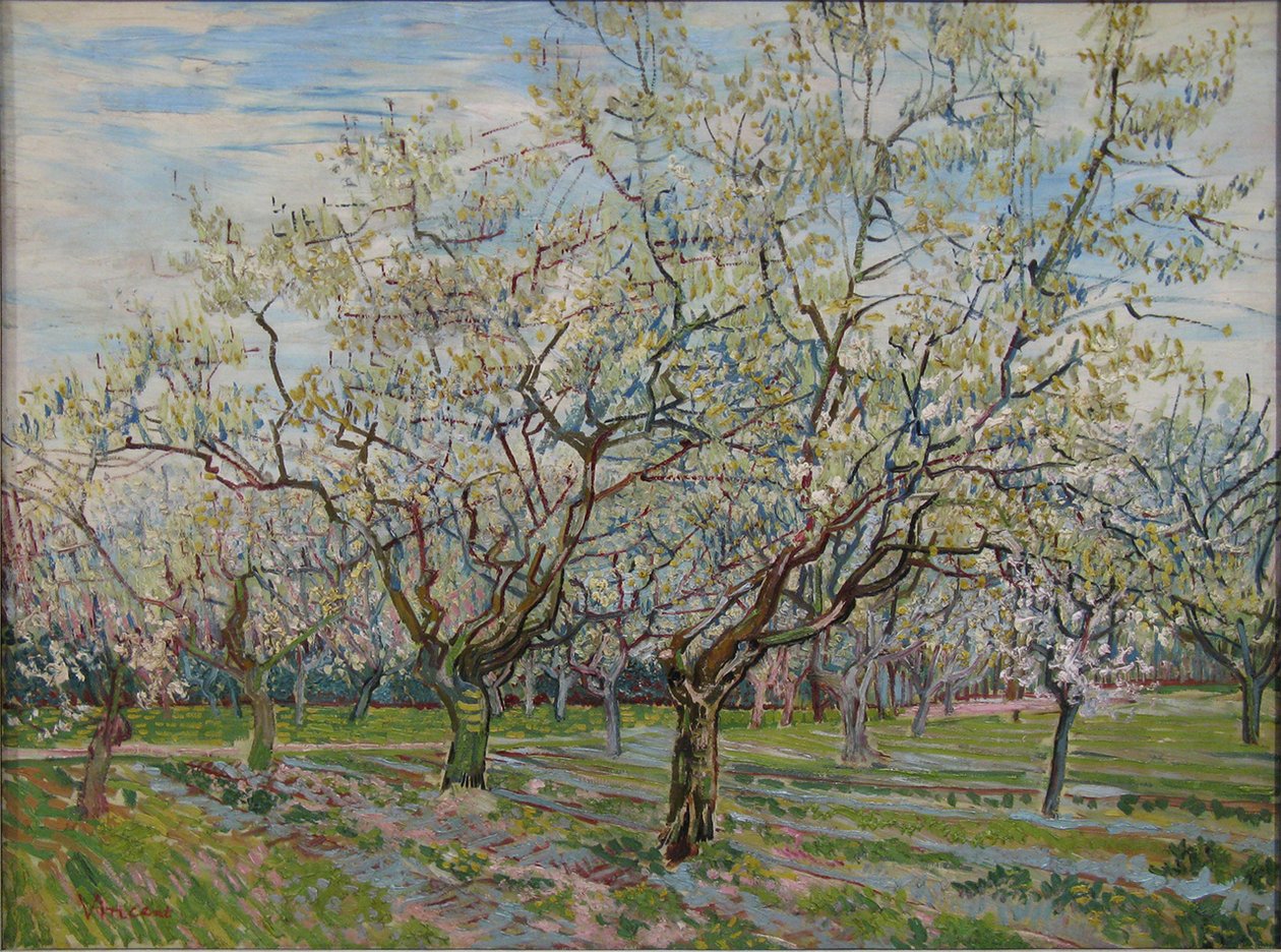 Der weiße Obstgarten von Vincent van Gogh