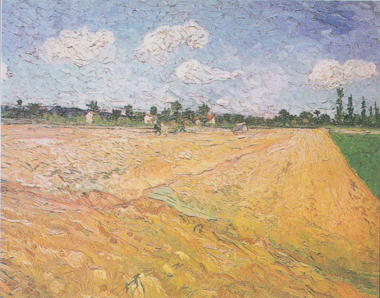 Gepflügtes Feld von Vincent van Gogh