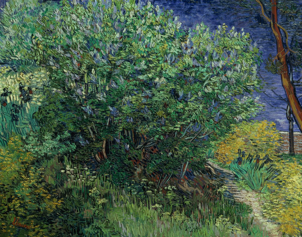 Fliederbusch, 1889 von Vincent van Gogh