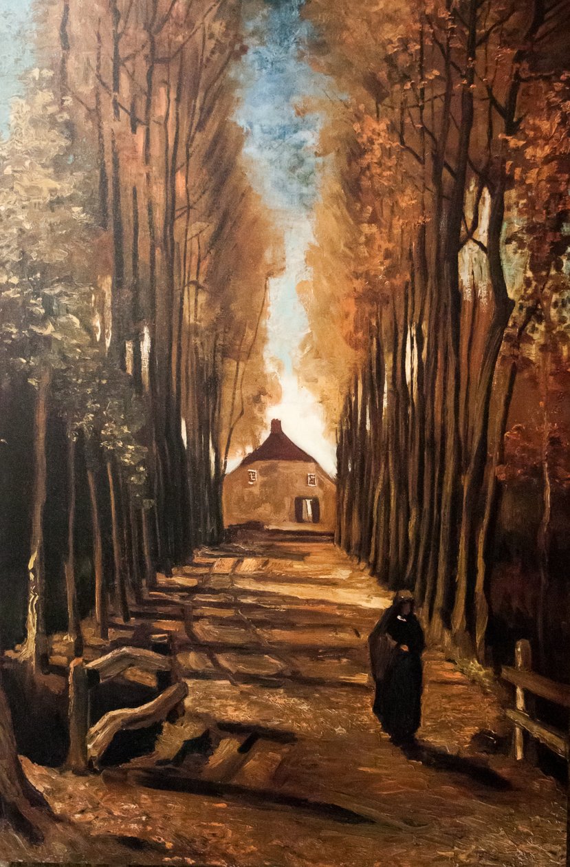 Mein Traum von Vincent van Gogh