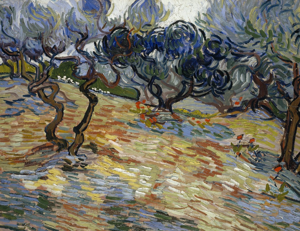 Olivenbäume von Vincent van Gogh
