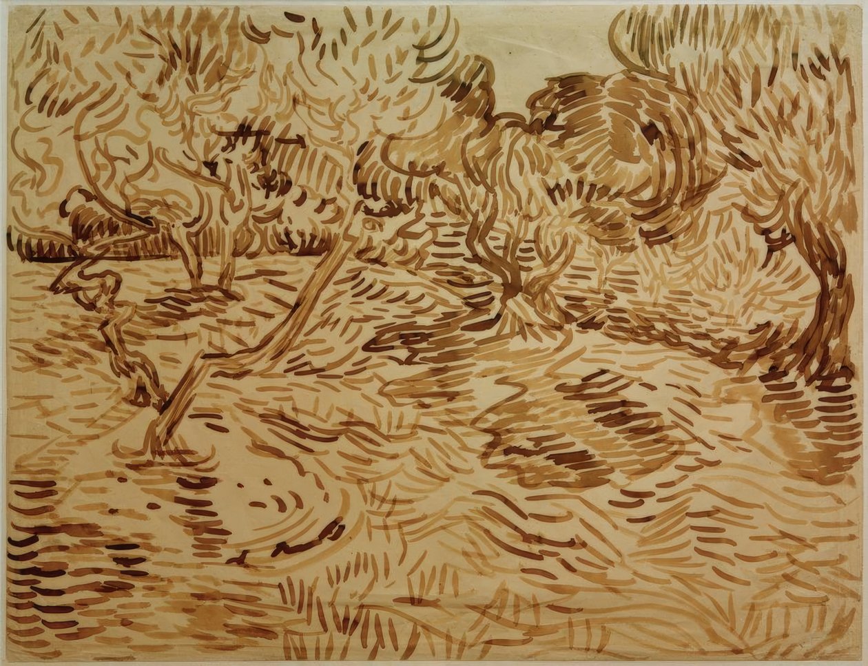 Olivenhain von Vincent van Gogh