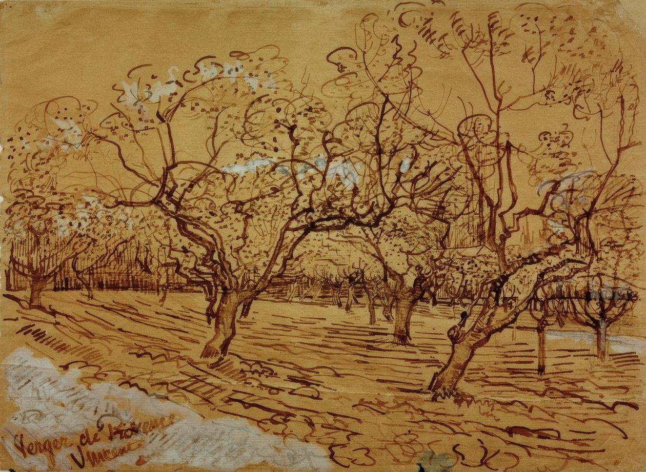 Provenzalischer Obstgarten von Vincent van Gogh