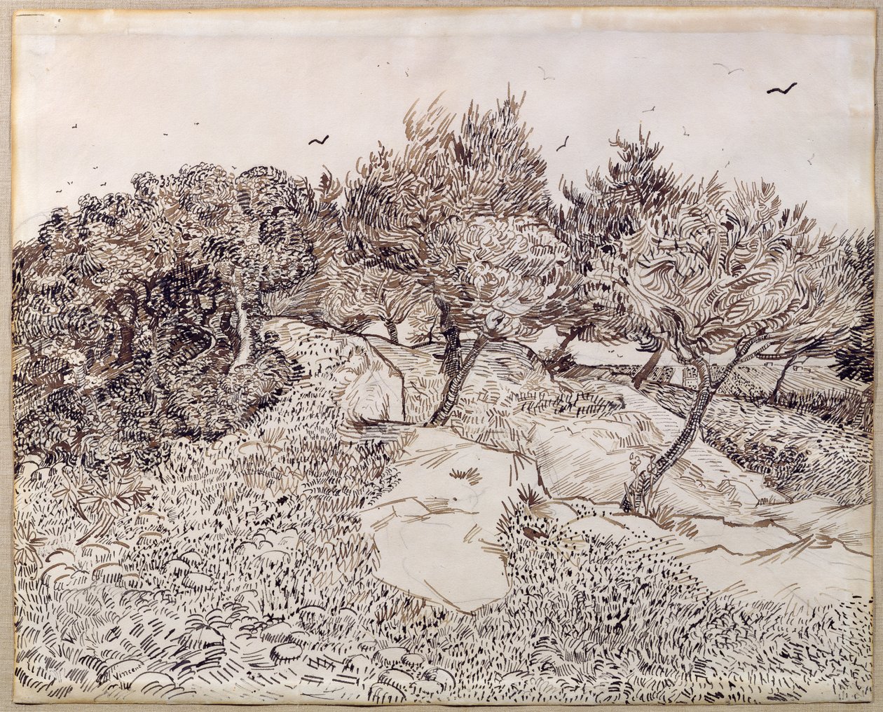 Die Olivenbäume von Vincent van Gogh