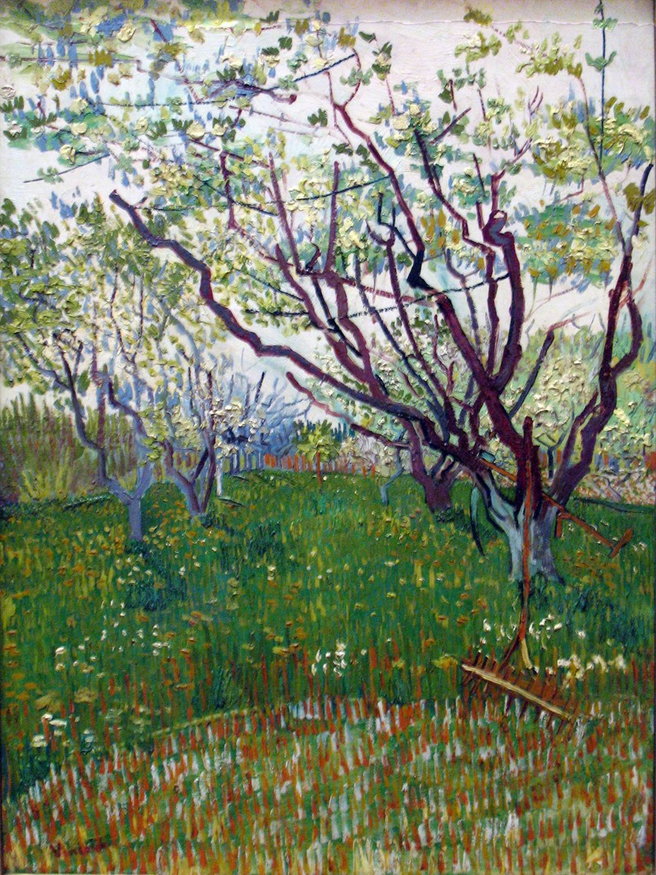 Der blühende Obstgarten von Vincent van Gogh