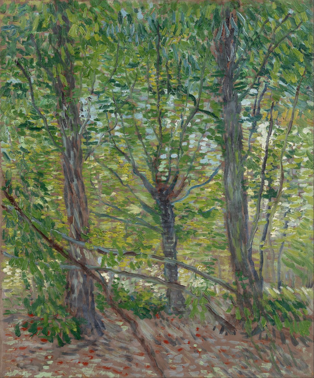 Bäume von Vincent van Gogh
