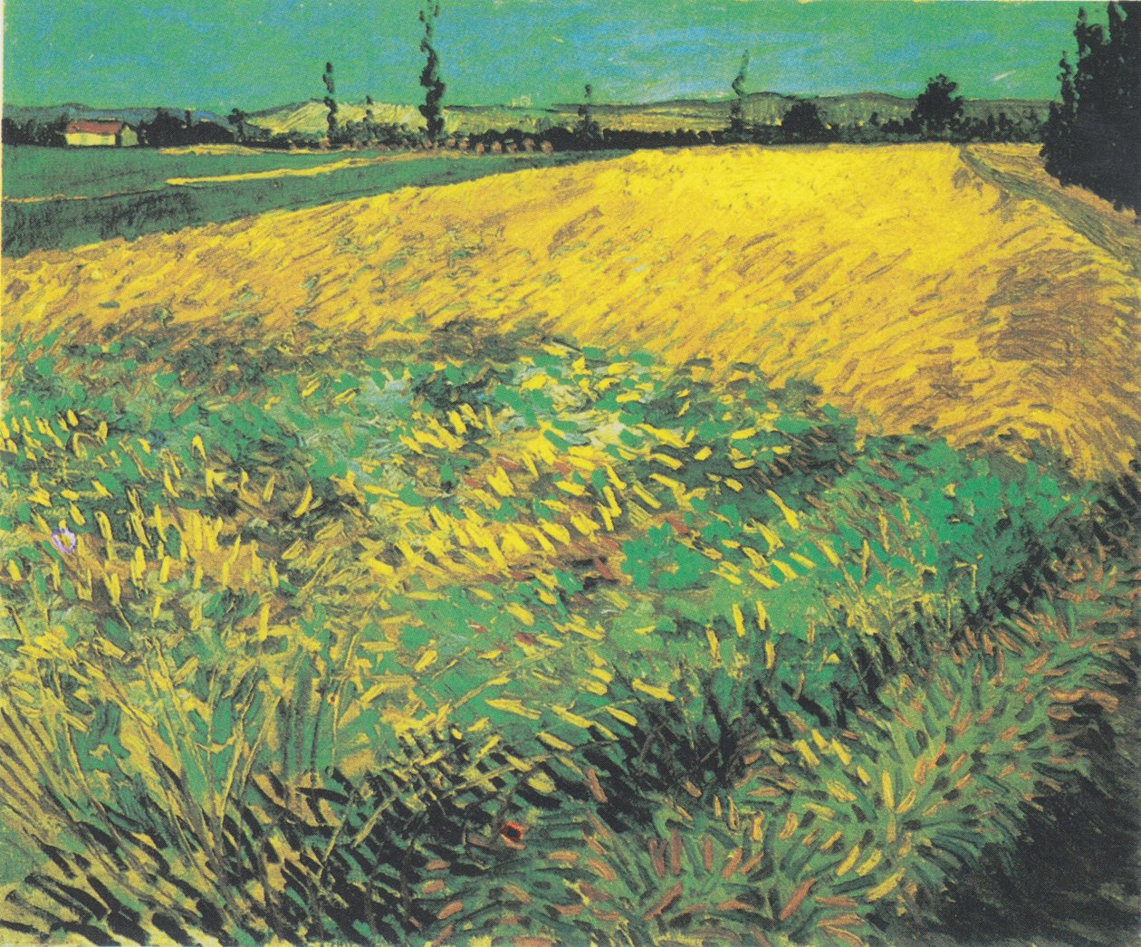 Weizenfeld mit Hügeln der Alpilles im Hintergrund von Vincent van Gogh