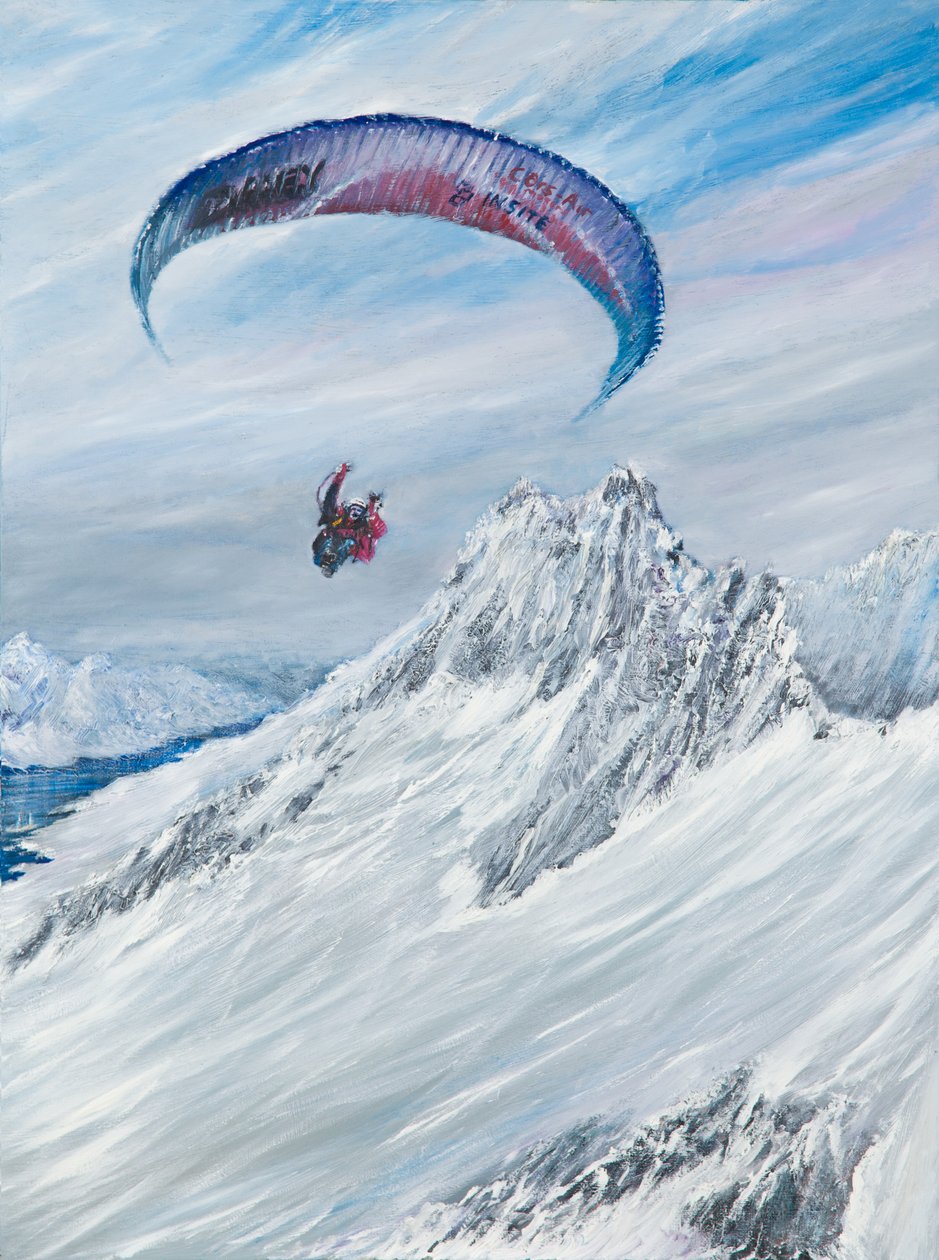 Antarktis-Flieger, 2015 von Vincent Alexander Booth