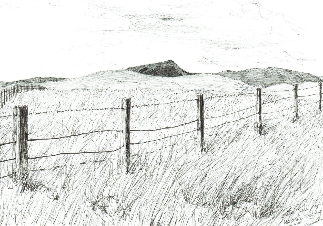 Culter Fell von Hartfell von Vincent Alexander Booth