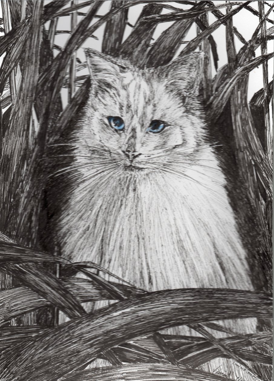 Dschungel Monty, 2015 von Vincent Alexander Booth