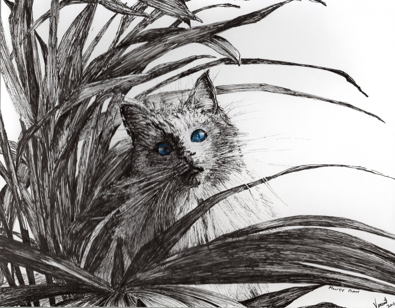 Monty Pflanze, 2015 von Vincent Alexander Booth