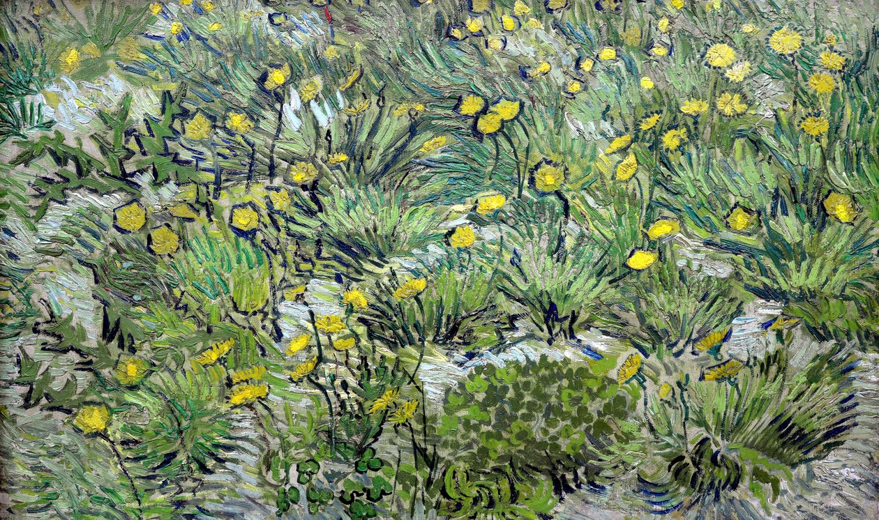 Les pissenlits Löwenzahn, 1889 von Vincent van Gogh