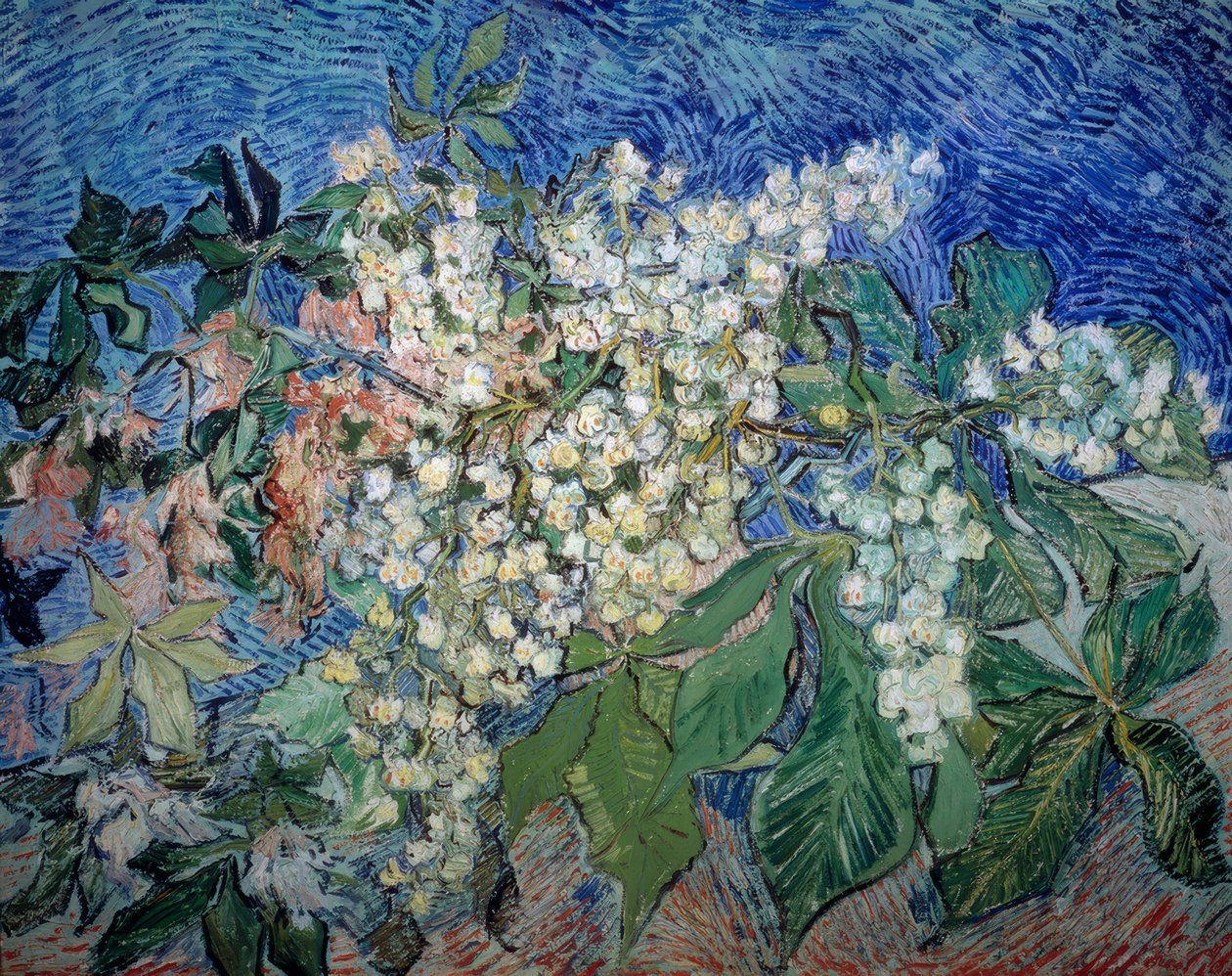 Blühende Kastanienzweige von Vincent van Gogh