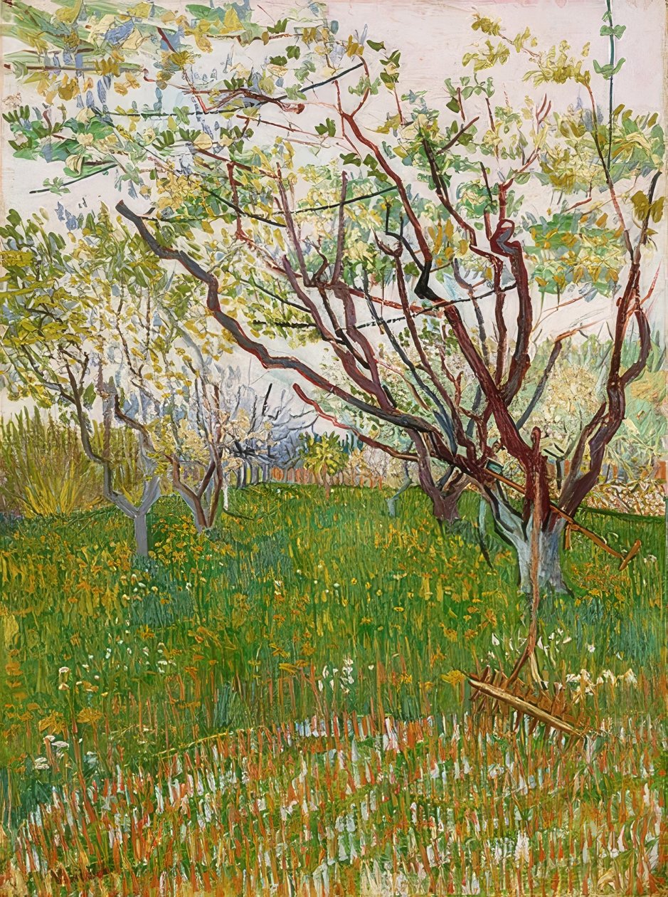 Blühender Obstgarten. 1888 von Vincent van Gogh