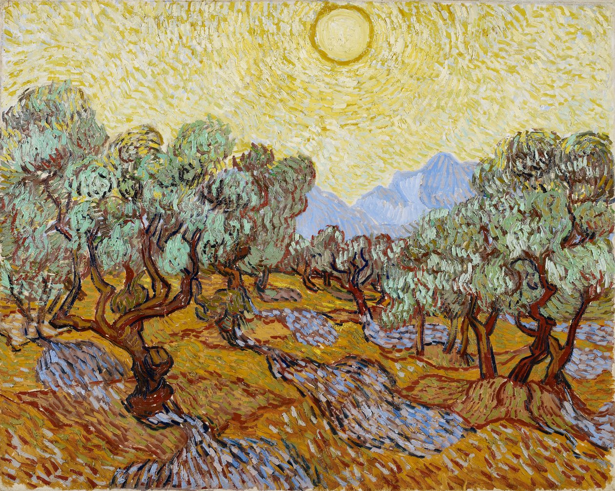 Olivenbäume von Vincent van Gogh