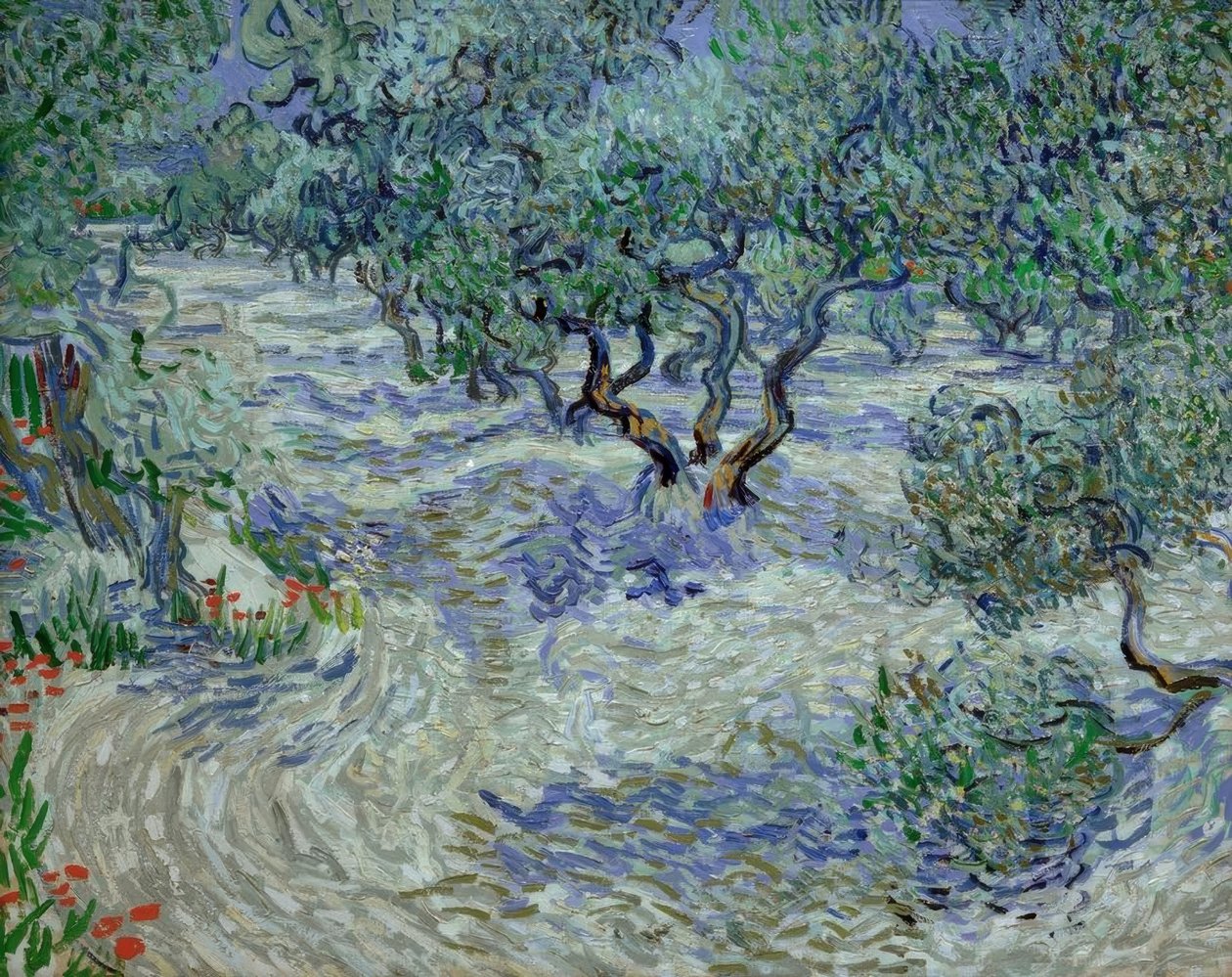 Olivenhain von Vincent van Gogh