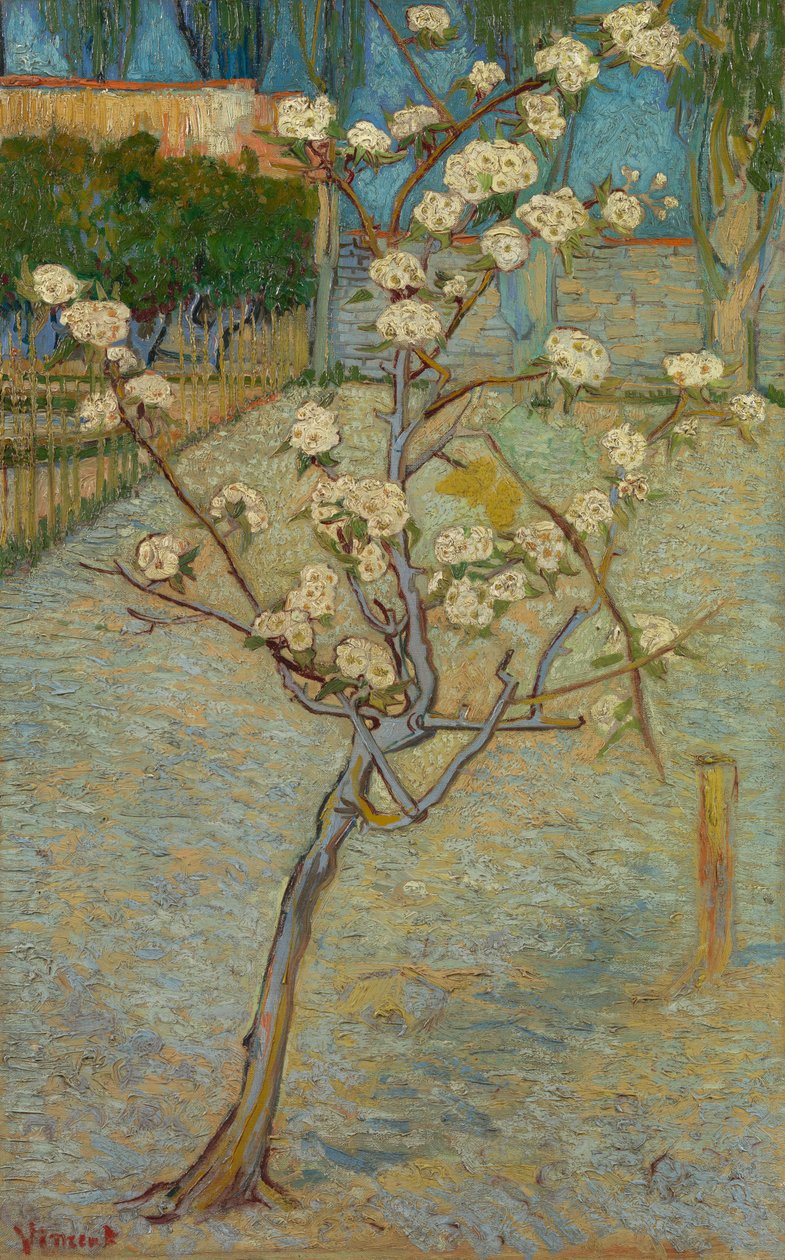 Kleiner Birnbaum in Blüte von Vincent van Gogh