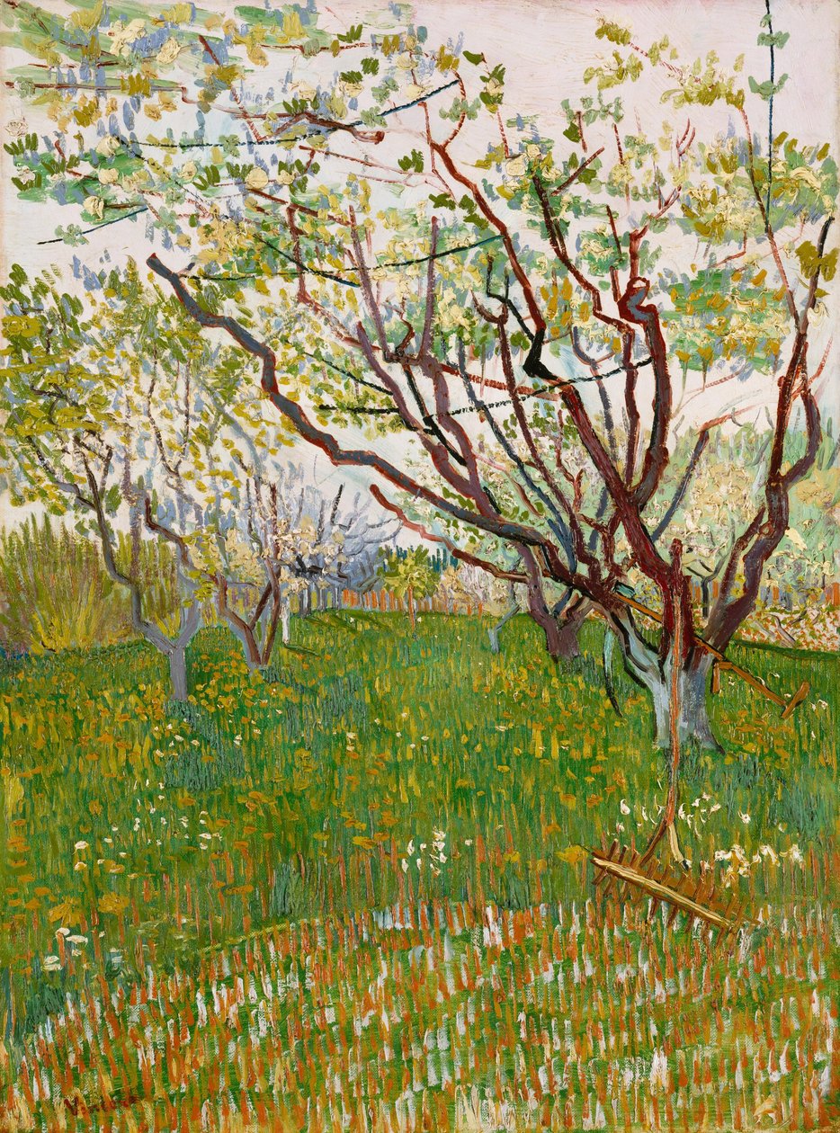 Der blühende Obstgarten von Vincent van Gogh