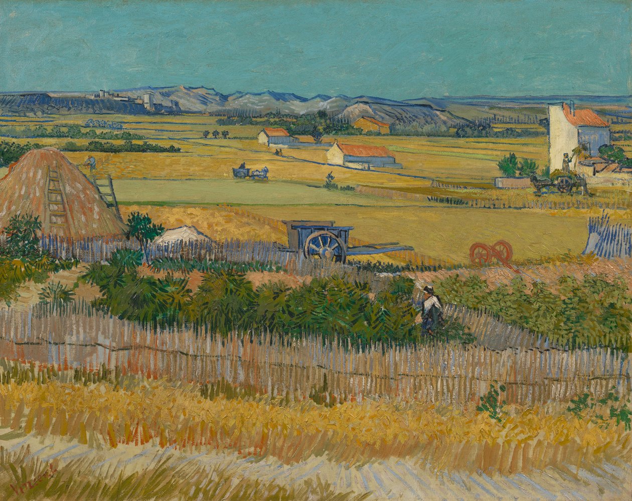 Die Ernte von Vincent van Gogh