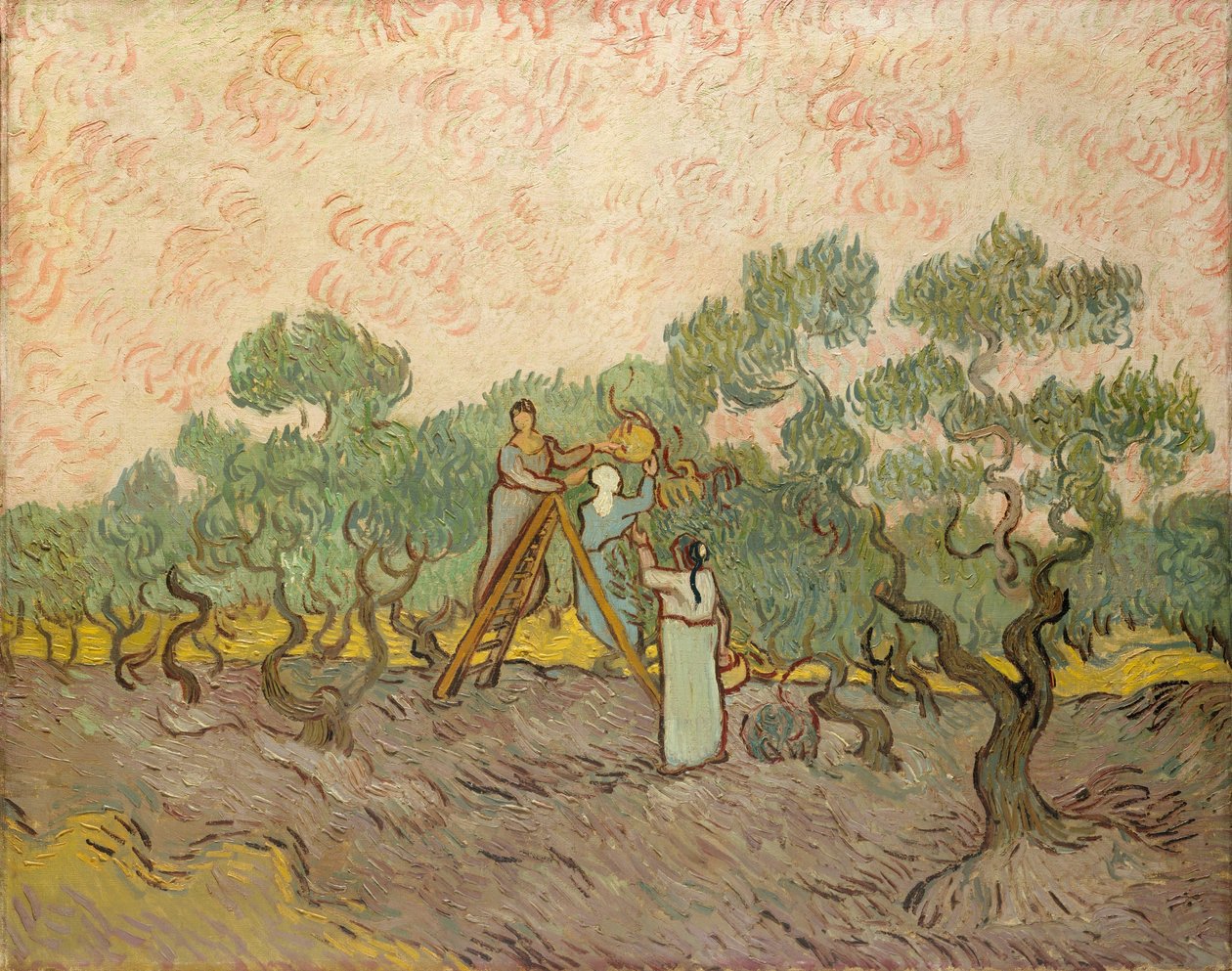 Die Olivenernter, Saint-Remy von Vincent van Gogh