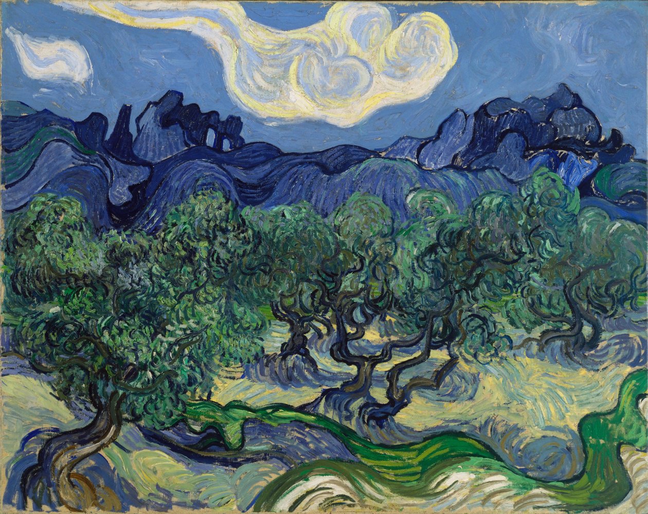 Die Olivenbäume von Vincent van Gogh