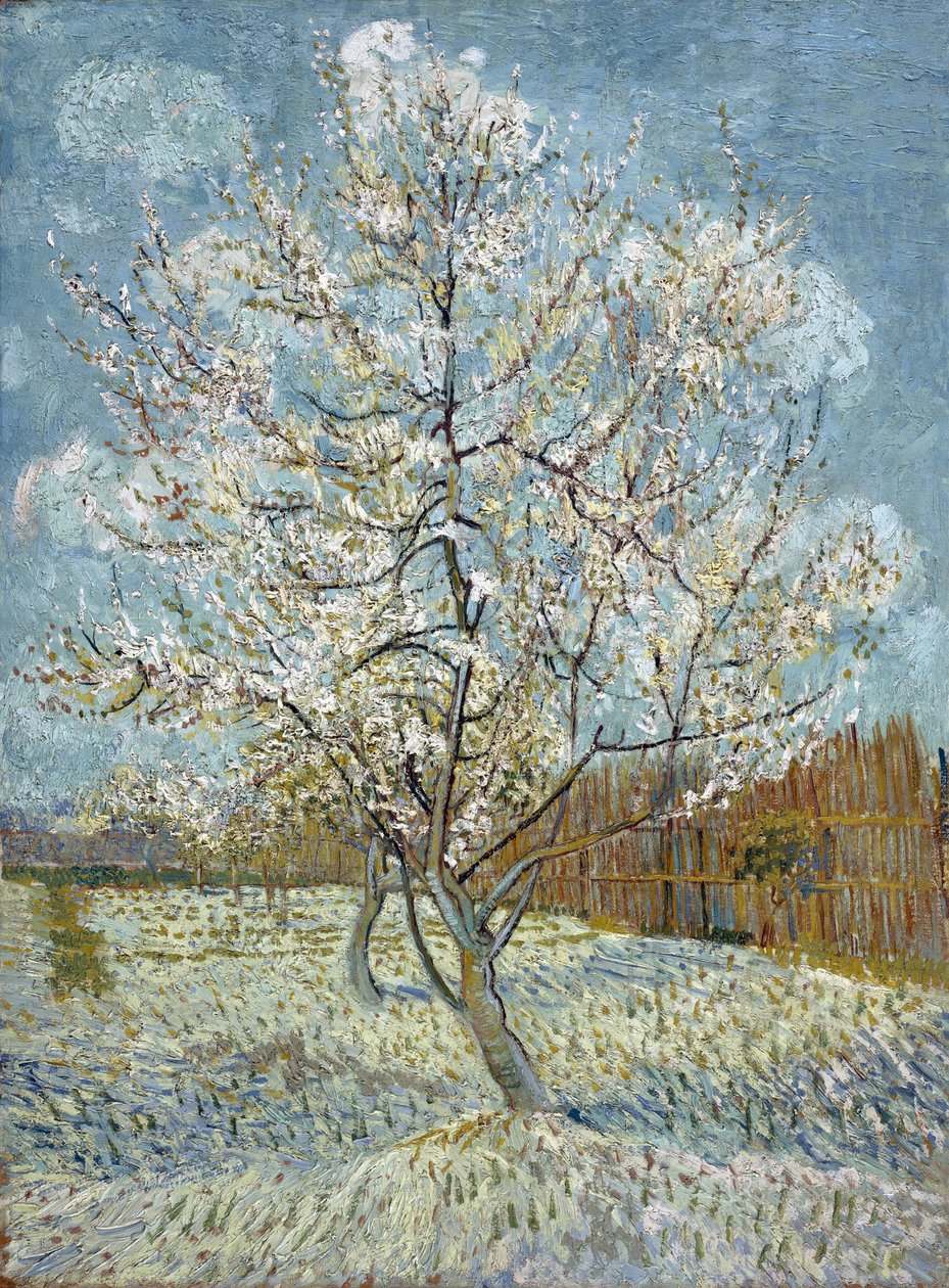 Der rosa Pfirsichbaum von Vincent van Gogh
