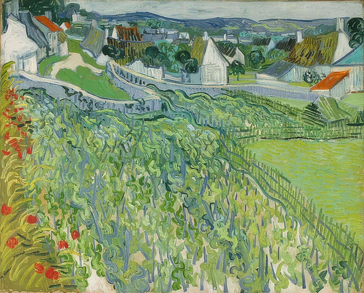 Weinberge in Auvers von Vincent van Gogh
