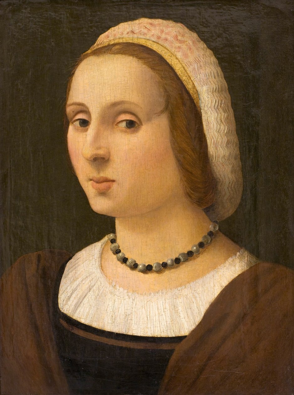 Porträt einer Dame von Vincenzo Tamagni