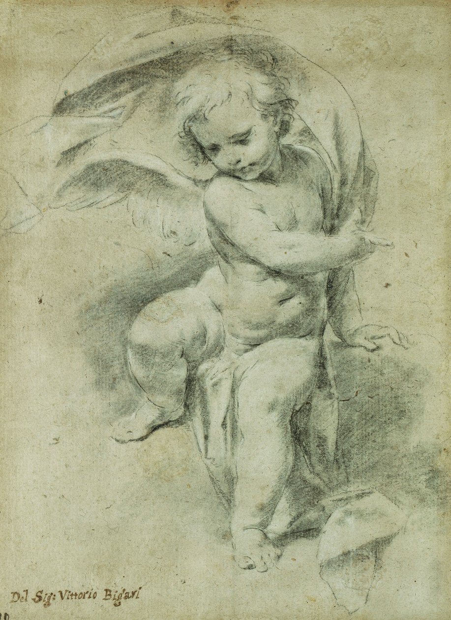 Ein Engel von Vittorio Maria Bigari