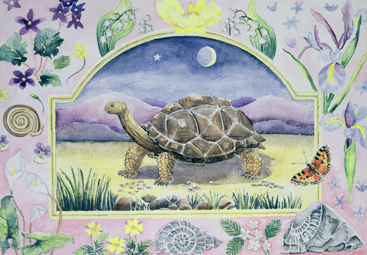 Riesenschildkröte (Mai aus einem Kalender) von Vivika Alexander