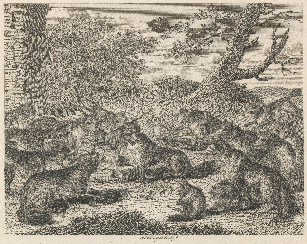 Der Fuchs am Todespunkt von W. Grainger