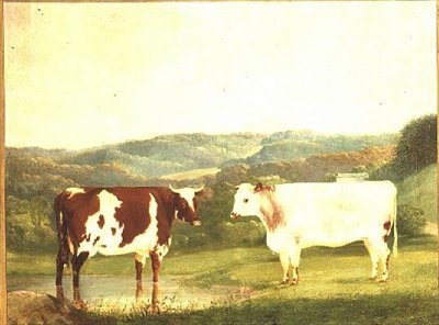 Rinder vor einer Landschaft von W. J. Chapman