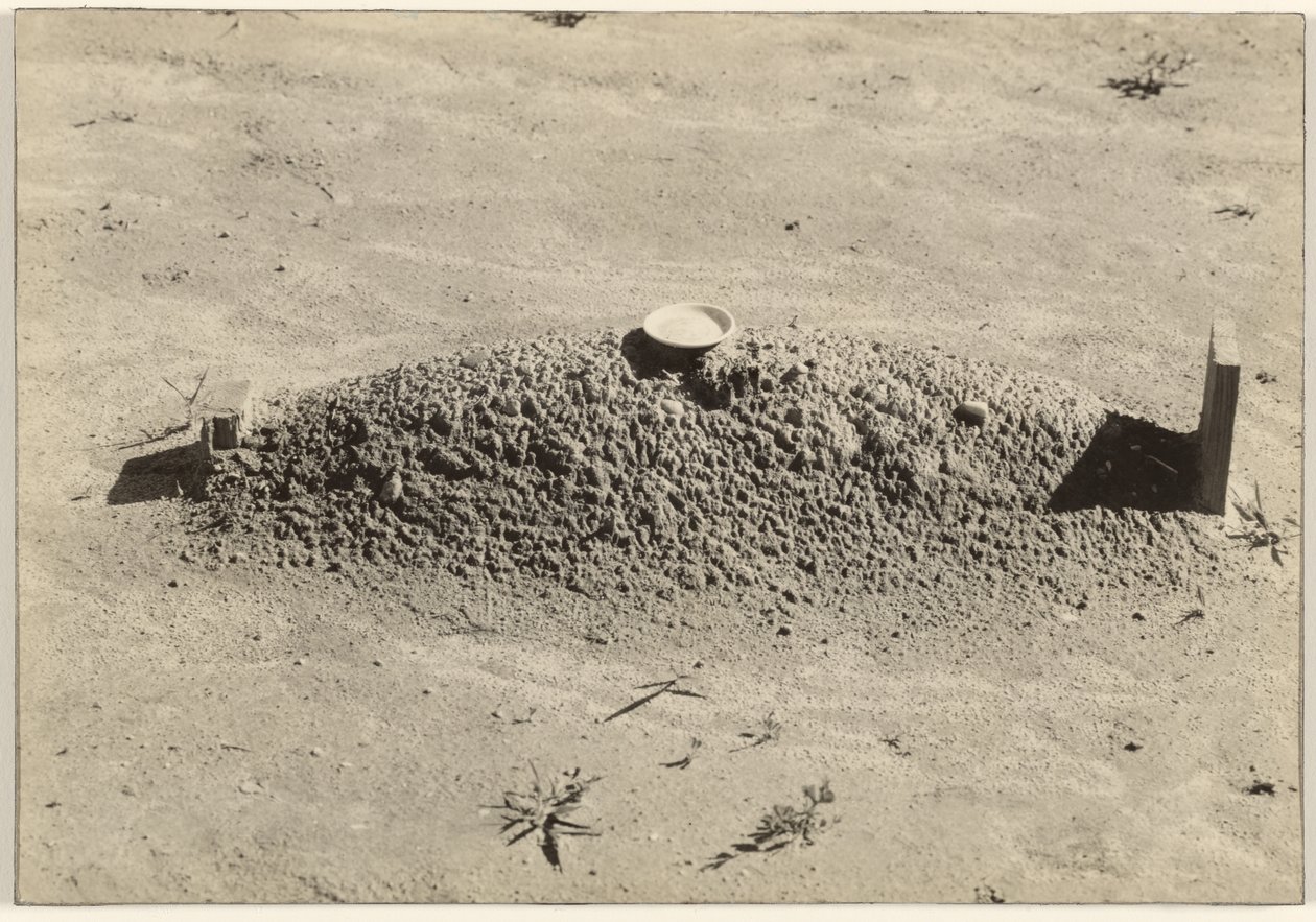 Ein baptistisches Grab, Hale County, Alabama von Walker Evans