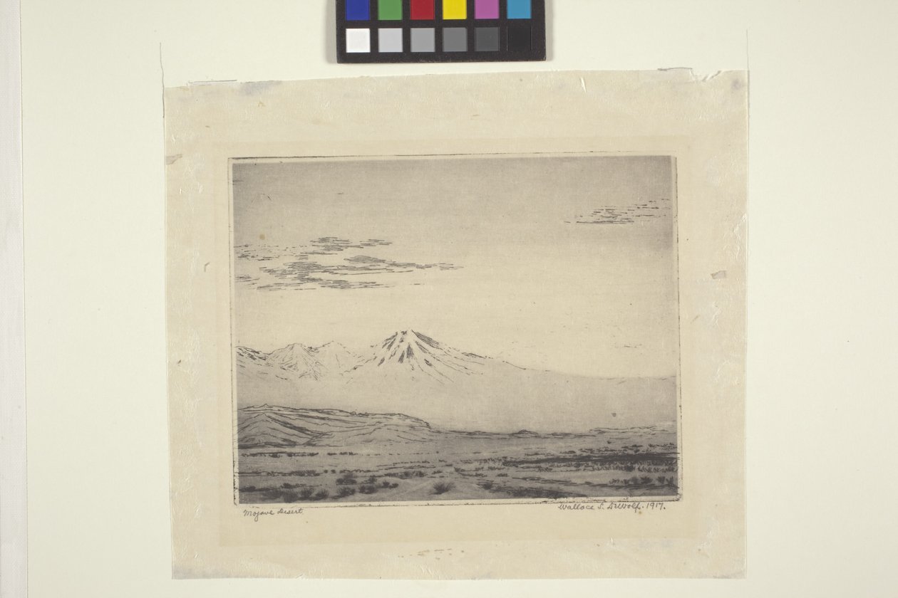 Mojave-Wüste von Wallace Leroy DeWolf