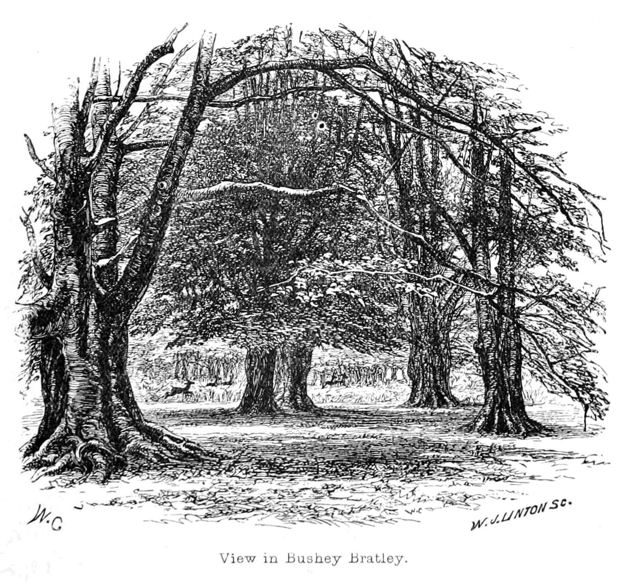 Ansicht in Bushey Bratley von Walter Crane