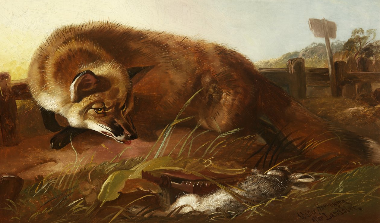 Fuchs, ca. 1880 von Walter Harrowing