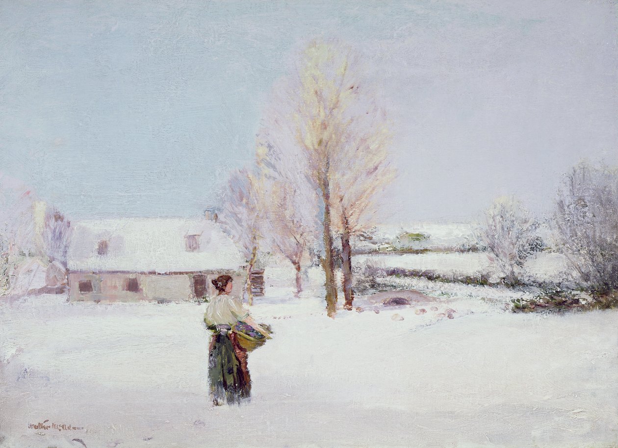 Spaziergang durch den Schnee von Walter McAdam