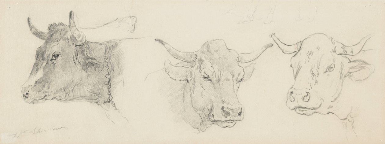 Studie von Rindern für Schafschur, 1872-77 von Walter Shirlaw