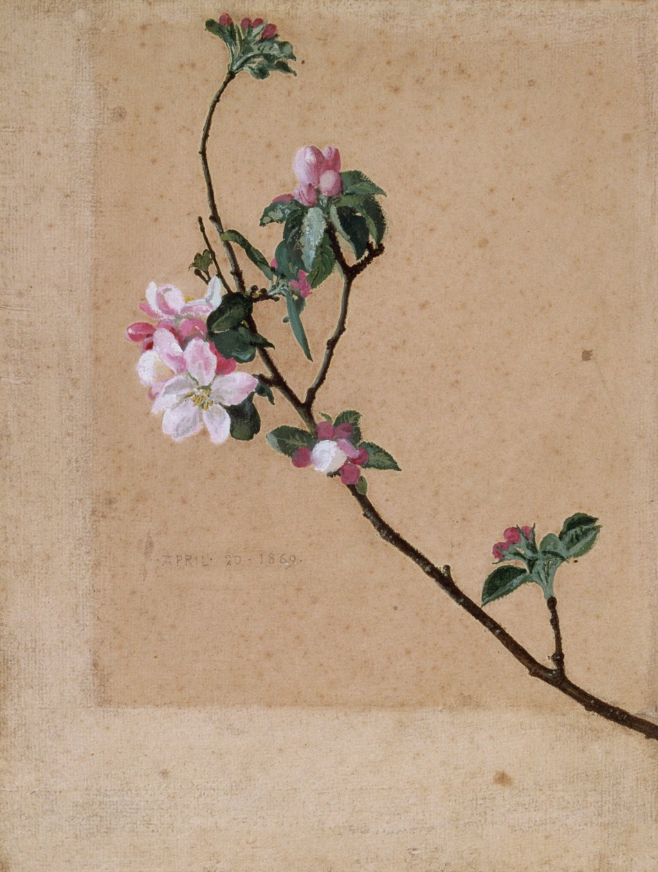 Apfelblüte von Walter Crane